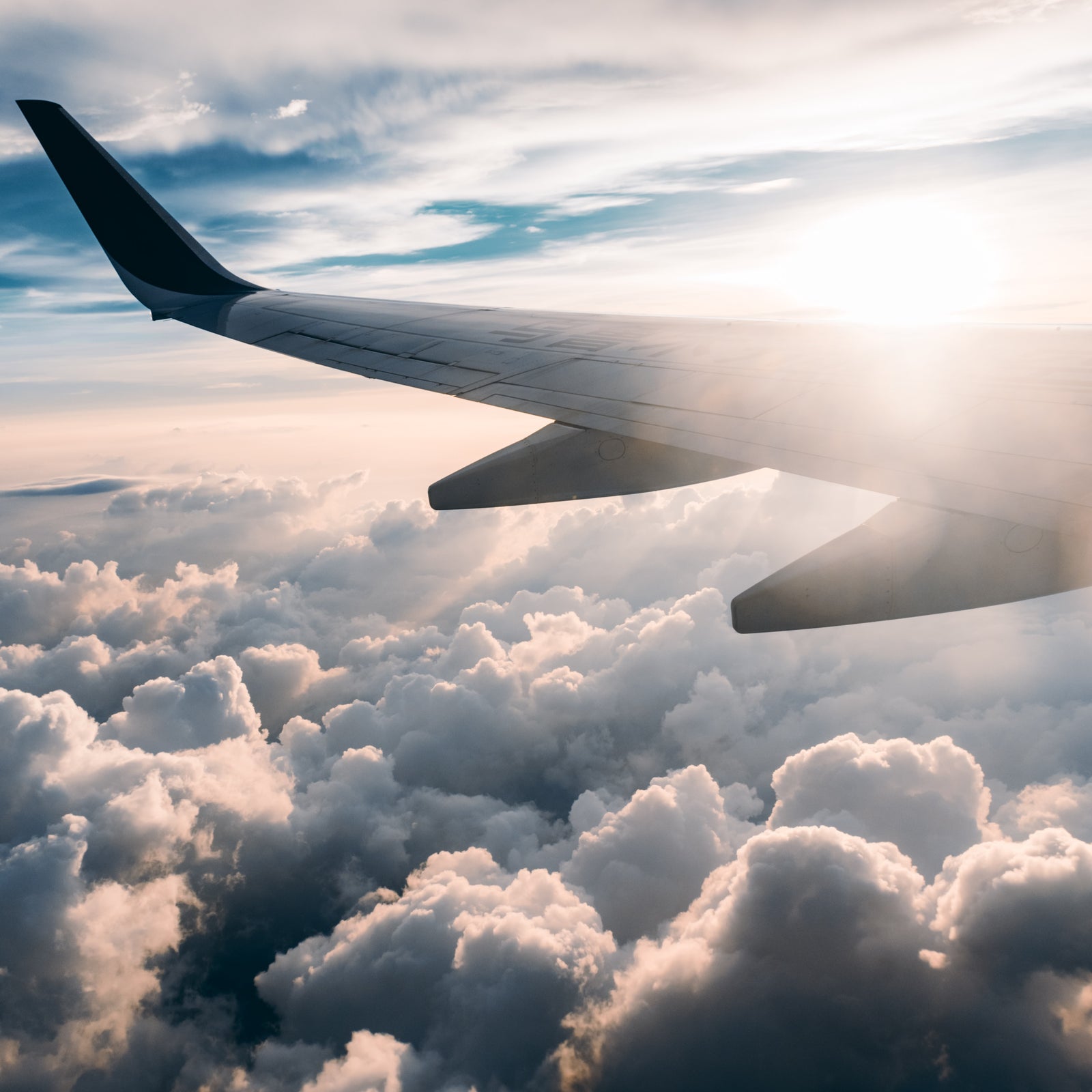 travel flight plane wing