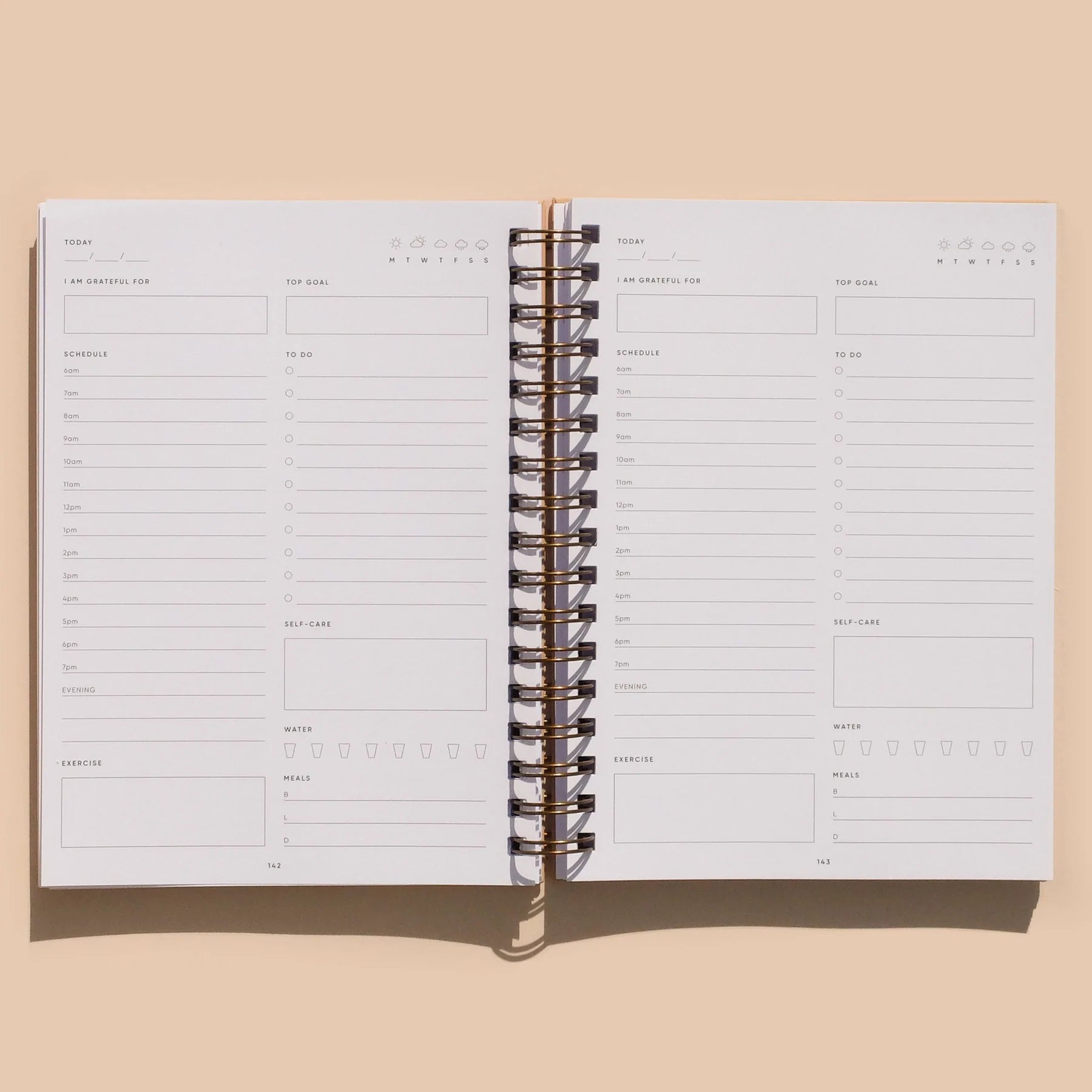The Self-Care Planner, Daily Edition | Simple Self