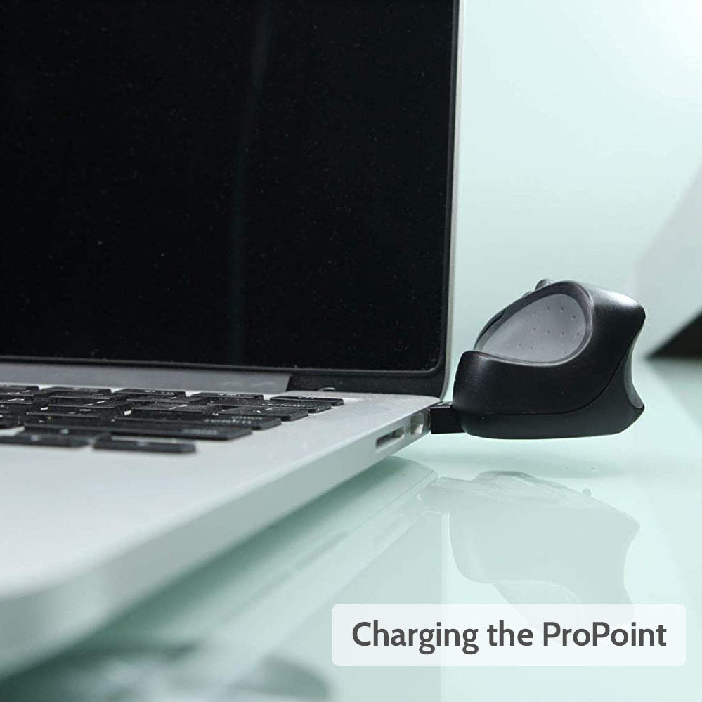 ProPoint | Ergonomic Mouse & Presenter | Official (Singapore ...