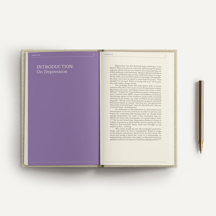 The Depression Guidebook | Therapy Notebooks
