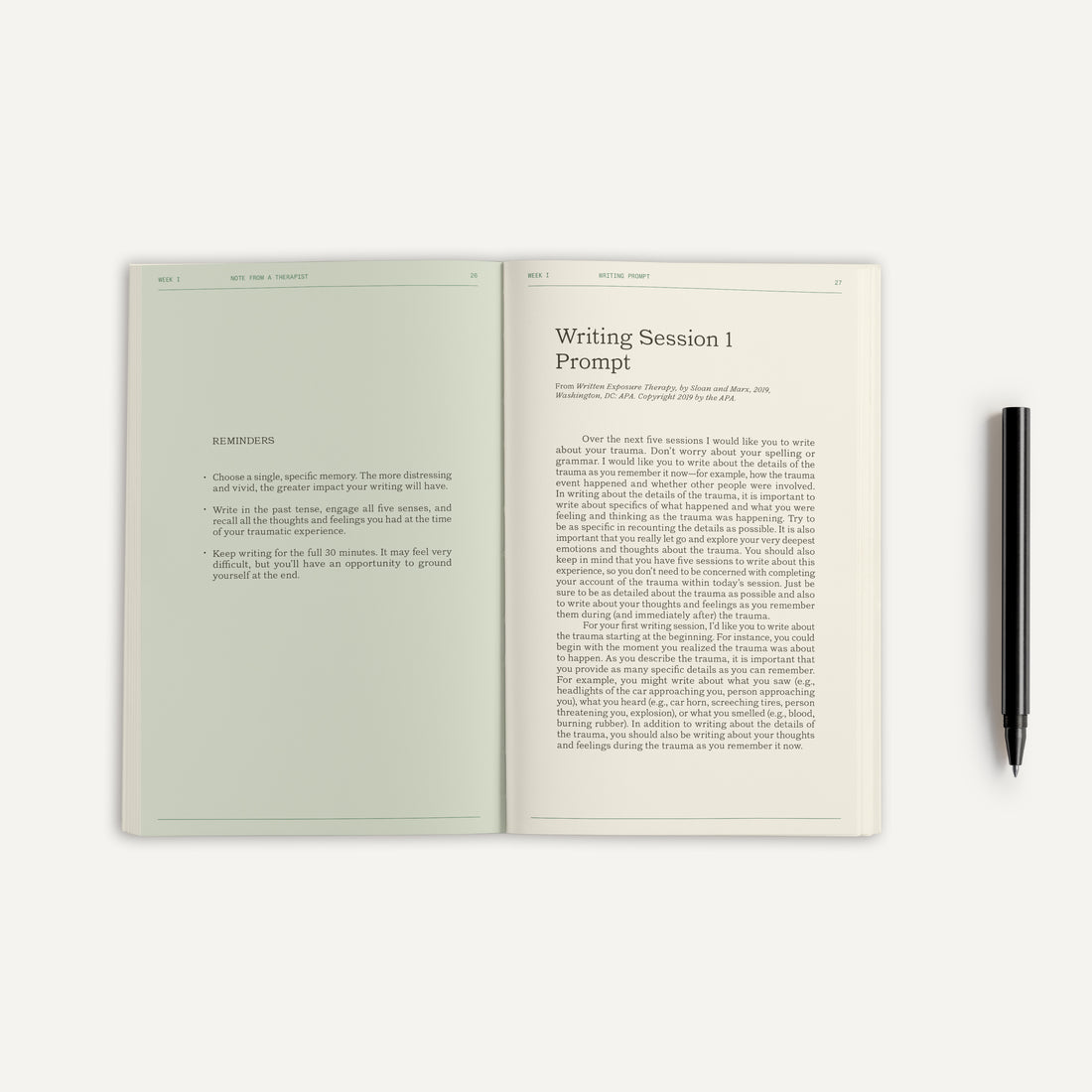 The Trauma &amp; Written Exposure Workbook | Therapy Notebooks